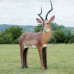 Wildcrete Impala Ram